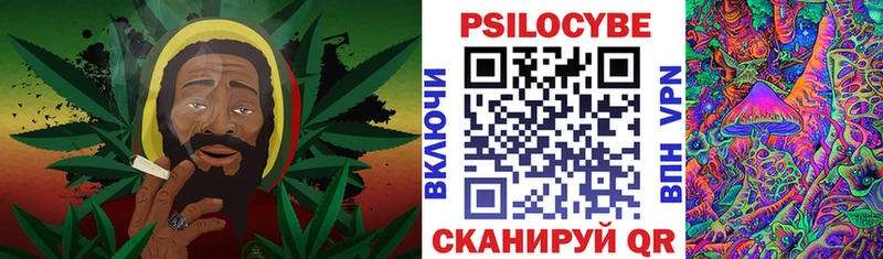 наркотики  Берёзовский  Псилоцибиновые грибы Psilocybine cubensis 