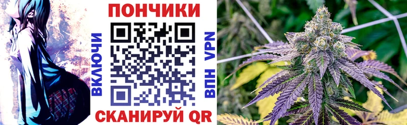 Бошки Шишки Bruce Banner  купить  цена  Берёзовский 